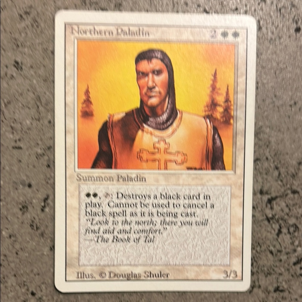 Revised Magic Card Northern Paladin